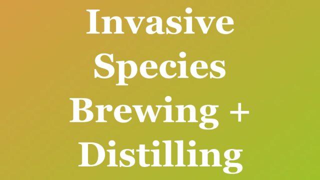 Invasive Species Brewing + Distilling — Fort Lauderdale