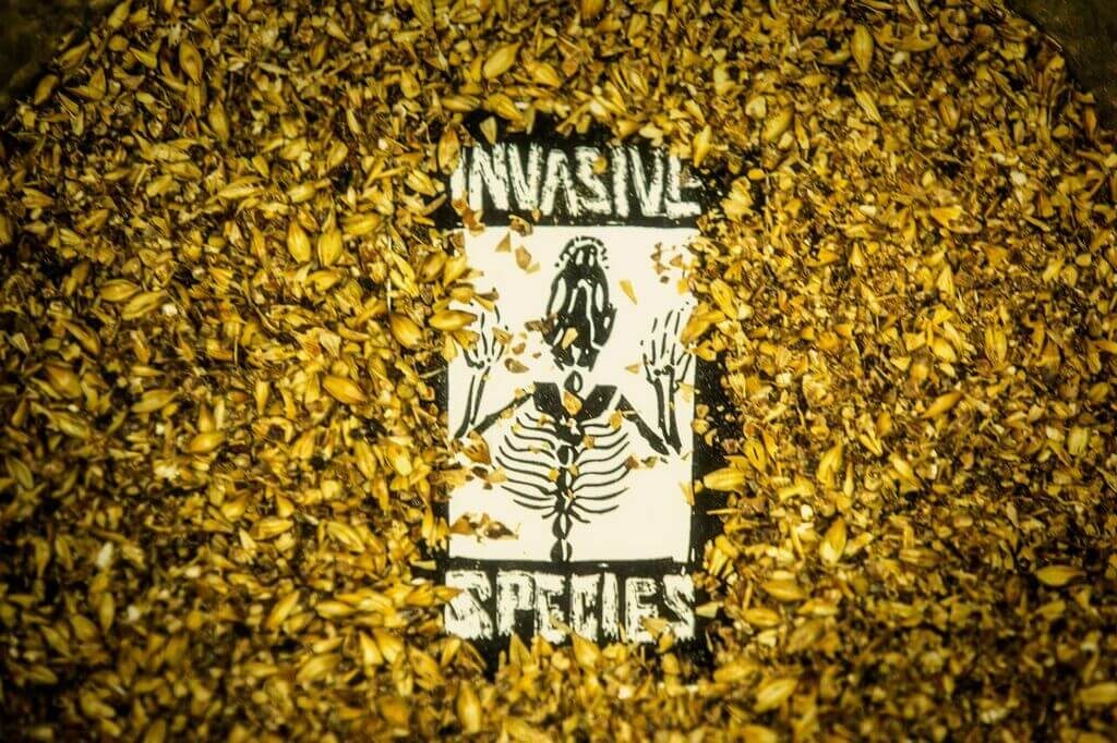 Invasive Species Brewing + Distilling — Fort Lauderdale