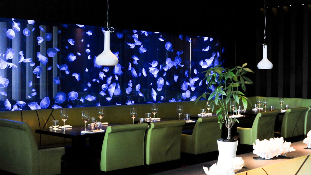 Steak 954 — Fort Lauderdale