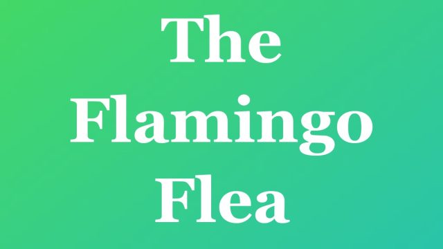 The Flamingo Flea — Fort Lauderdale